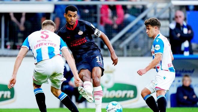 乒总人数的 乒总人数的