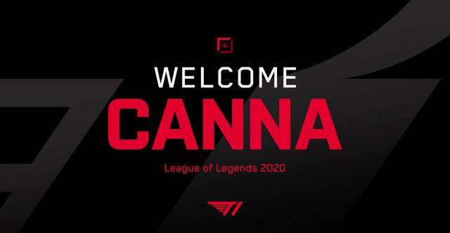 不容忽视的 不容忽视的